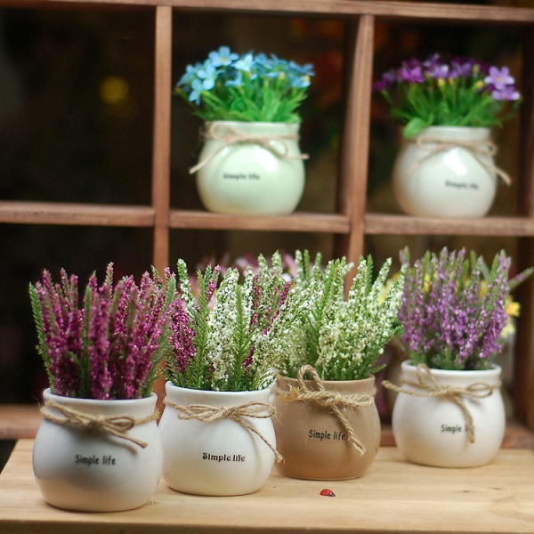 chậu hoa nhỏ để bàn
